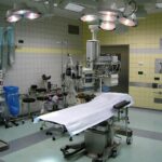 Il brutto anatroccolo diventato un bel cigno