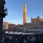 Social, tifosi violenti e animalisti contro calciatori e cacciatori