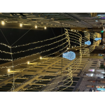 Anche Francesca Pascale scende in campo per attaccare Tajani