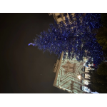 Monoclonali, quella vicenda che rimbalza tra governo Conte, Siena e Firenze