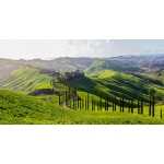 Ucraina-Russia, si invoca la pace e si usano parole di guerra