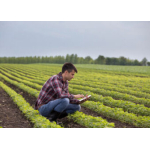 Mercato immobiliare: in calo Toscana, Liguria, Lombardia e Umbria, boom d Trentino e Friuli